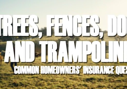Home-Trees, Fences, Dogs and Trampolines_ Common Homeowners' Insurance Questions